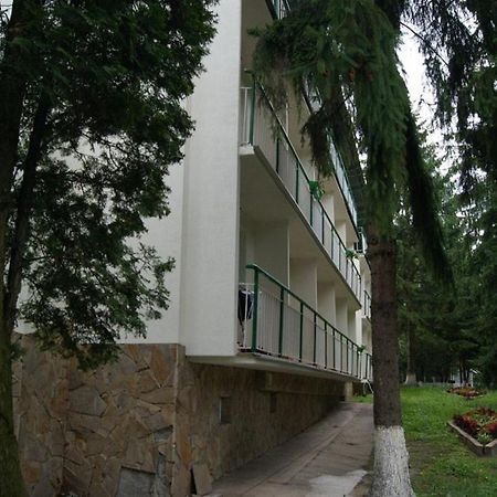 Lviwska Schweicaria Davidov Exterior foto