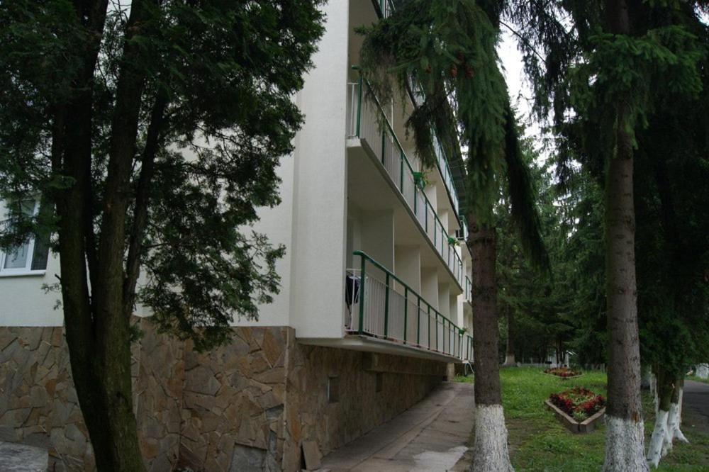 Lviwska Schweicaria Davidov Exterior foto